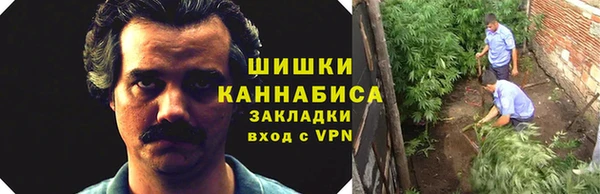 дурь Няндома