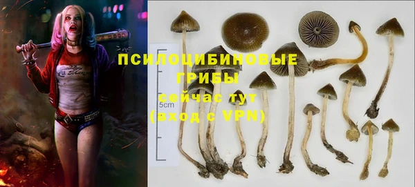 дурь Няндома