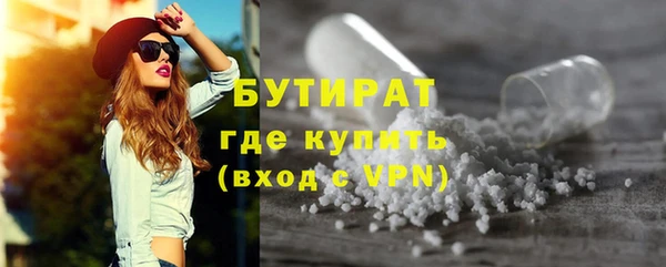 дурь Няндома