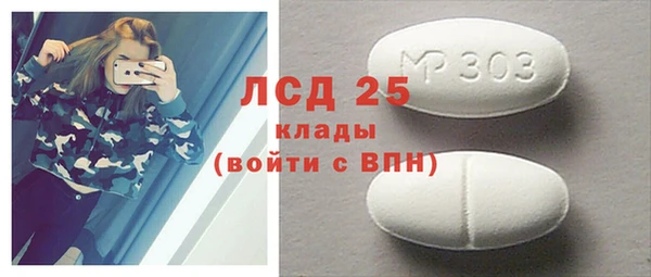дурь Няндома