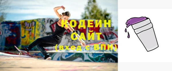 дурь Няндома