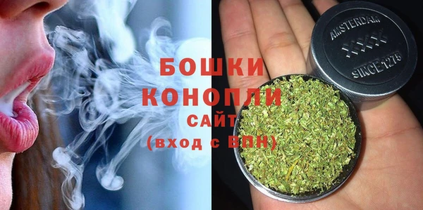 винт Дмитриев