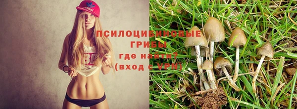 стаф Нязепетровск