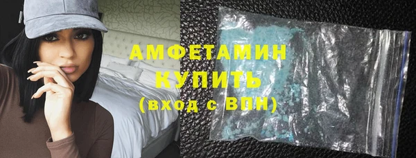 дурь Няндома