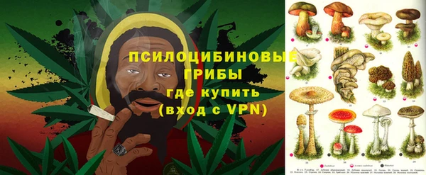 дурь Няндома