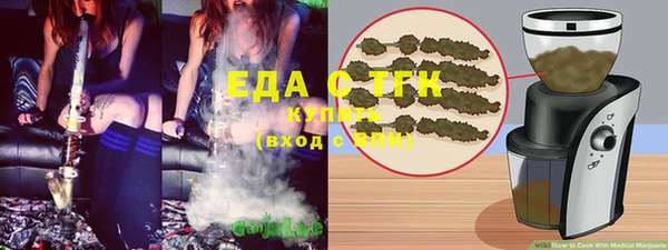 дурь Няндома