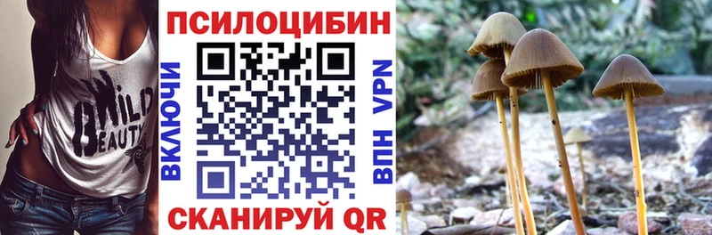 Псилоцибиновые грибы мицелий  сайты даркнета какой сайт  Емва  где можно купить  